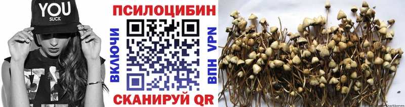 Псилоцибиновые грибы ЛСД  Нестеров 